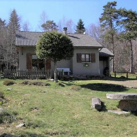 Petit Enchante Au Coeur De La Foret Du Meygal, Proche Du Bleu - Fr-1-582-272 * Champclause