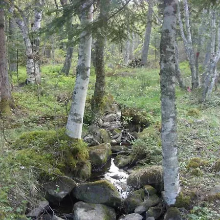 Petit Enchante Au Coeur De La Foret Du Meygal, Proche Du Bleu - Fr-1-582-272 *