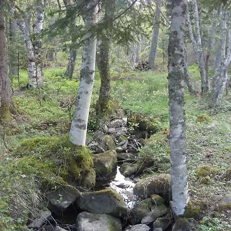 Petit Enchante Au Coeur De La Foret Du Meygal, Proche Du Bleu - Fr-1-582-272 * Champclause