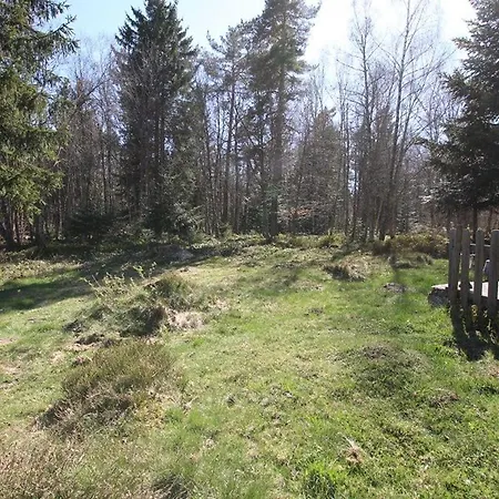 Petit Enchante Au Coeur De La Foret Du Meygal, Proche Du Bleu - Fr-1-582-272 Champclause